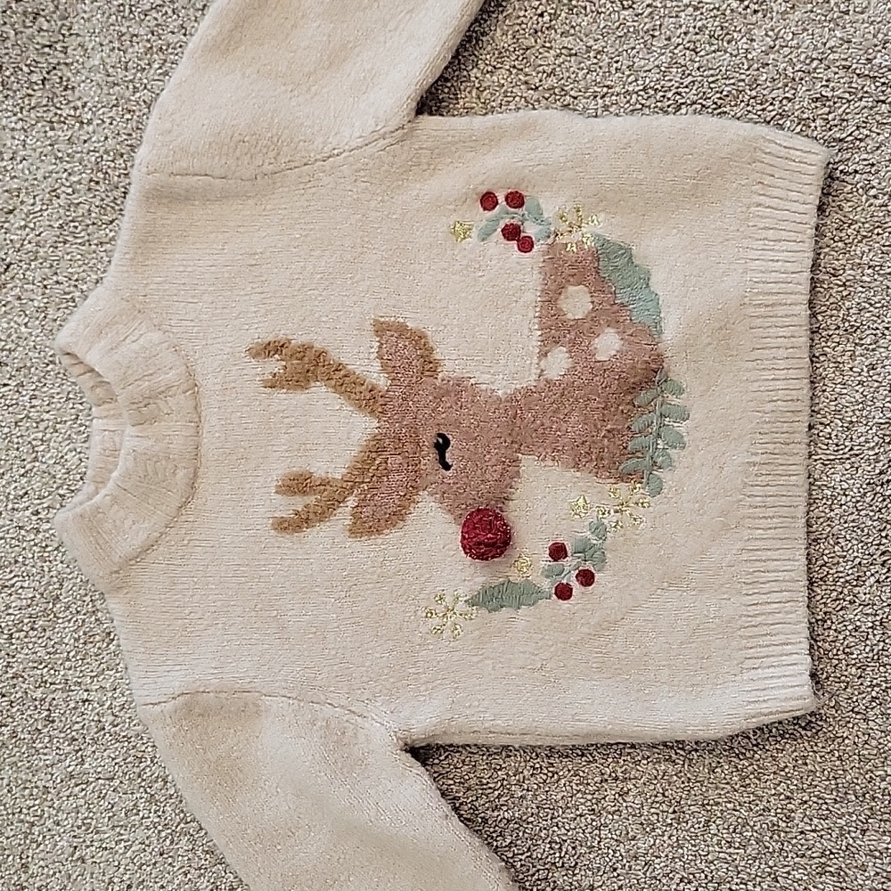 Toddler zara sweater